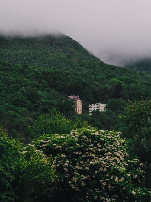 Free Mystical view of mountains with dense fog and isolated buildings. Stock Photo