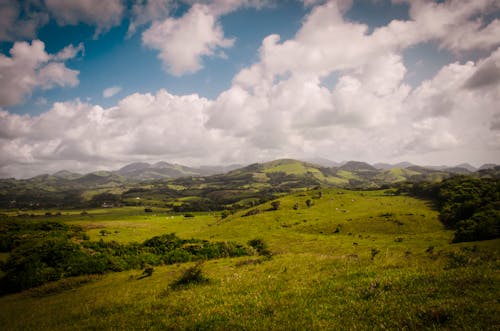 Green Grass Field in Hills and Valley