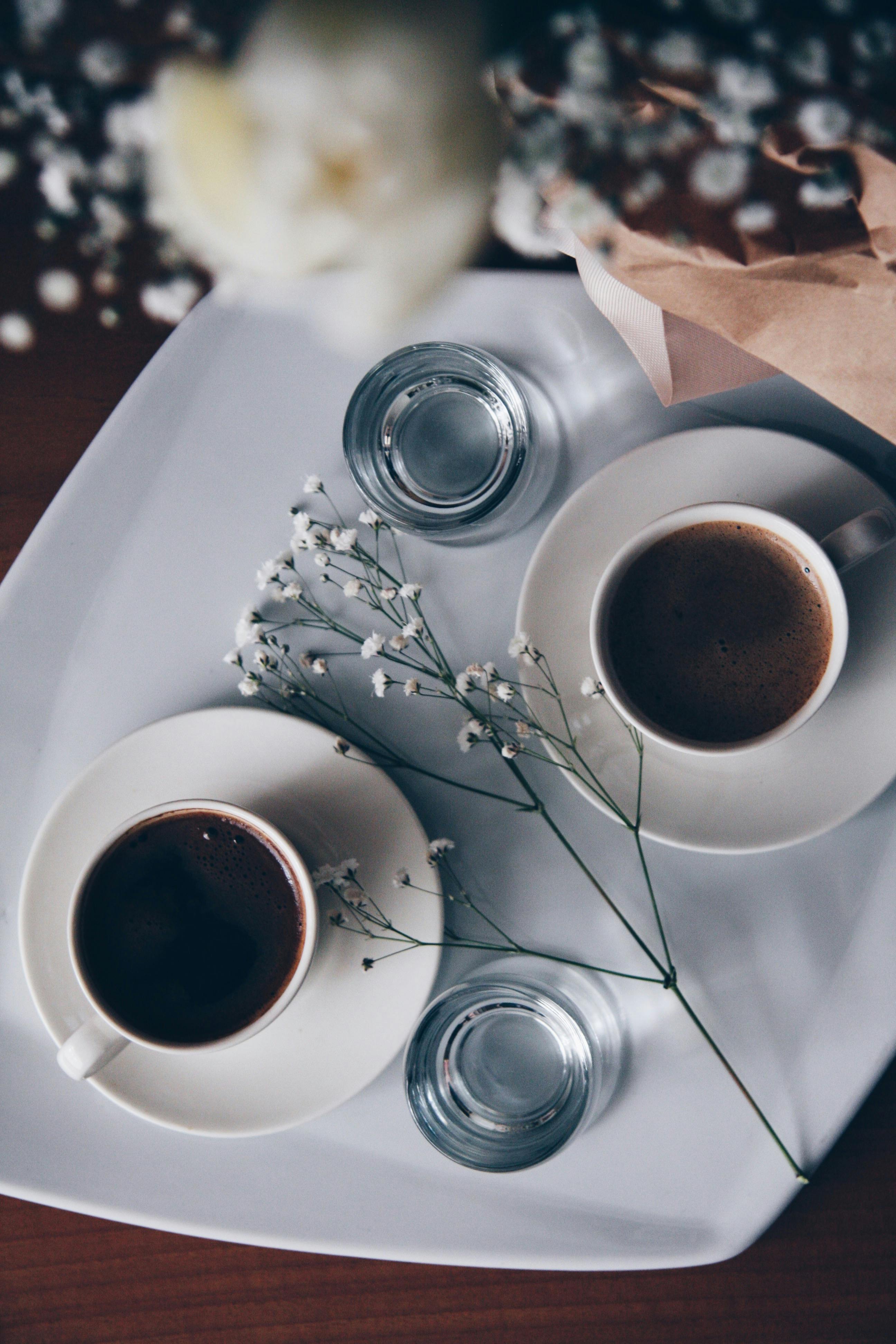 Woman Holding White Mug · Free Stock Photo