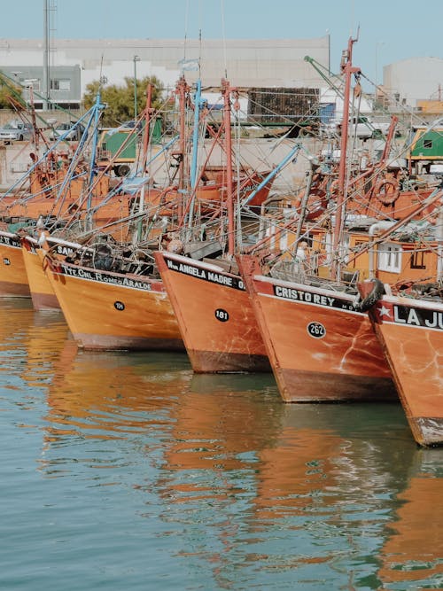 คลังภาพถ่ายฟรี ของ ทะเล, ท่าเรือ, น้ำ