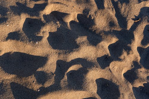 Gratis lagerfoto af baggrund, mønster, sand