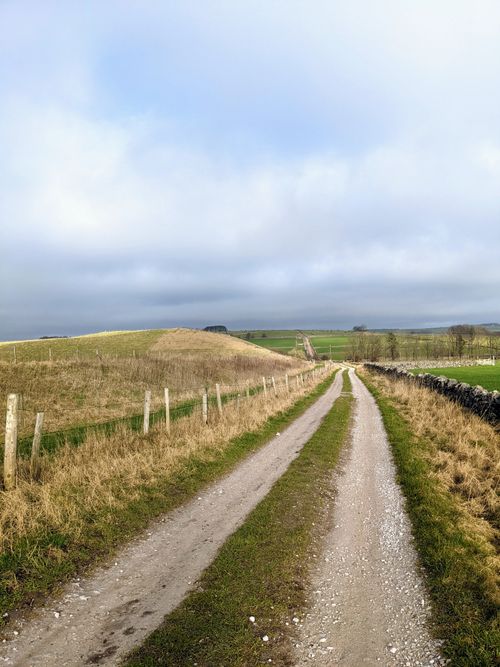 Free A tranquil countryside dirt road surrounded by grass fields under a cloudy sky. Stock Photo