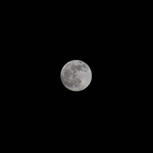 Free Captivating full moon against a black nighttime sky, perfect for nocturnal themes. Stock Photo