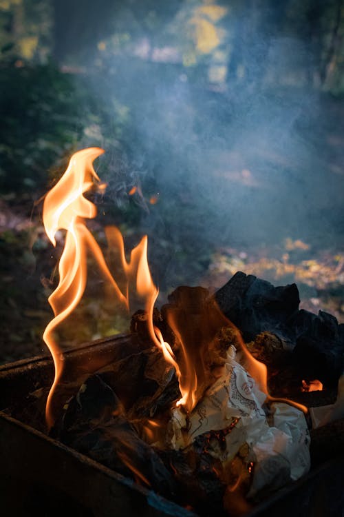 Foto profissional grátis de ardente, chama, fechar-se