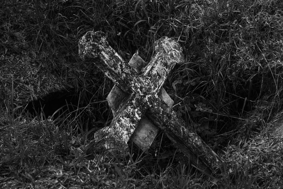 A weathered cross in a grayscale image depicts an overgrown graveyard scene, evoking a somber mood.
