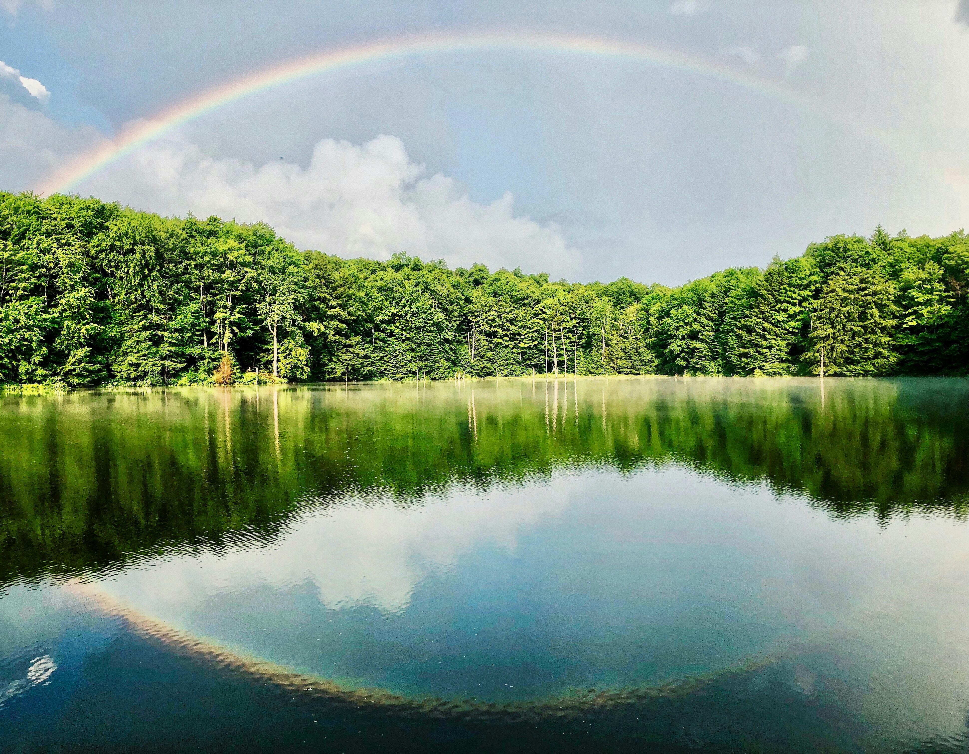 虹 雨上がりの無料の写真素材