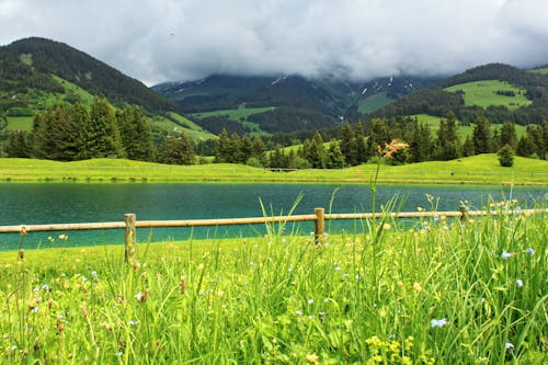 Бесплатное стоковое фото с гора, деревянный забор, зеленое поле