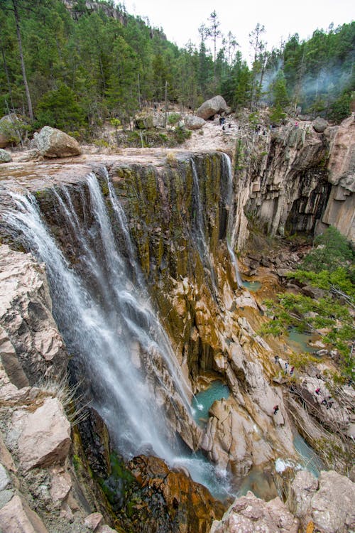 Foto d'estoc gratuïta de arbres, cascada cusárare, cascades