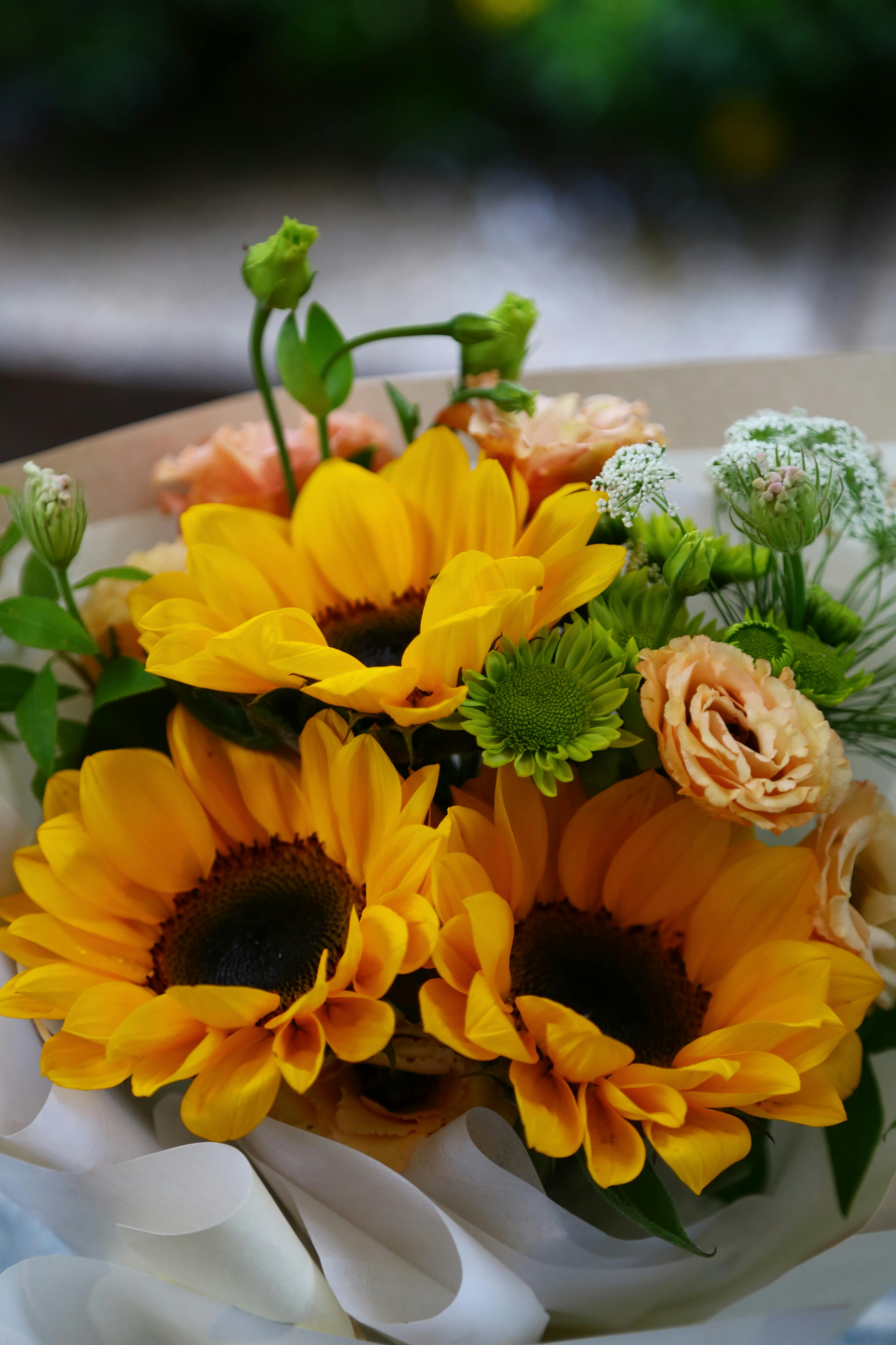 Sunflower and Rose Flower Bouquet · Free Stock Photo, image size:3840x5760