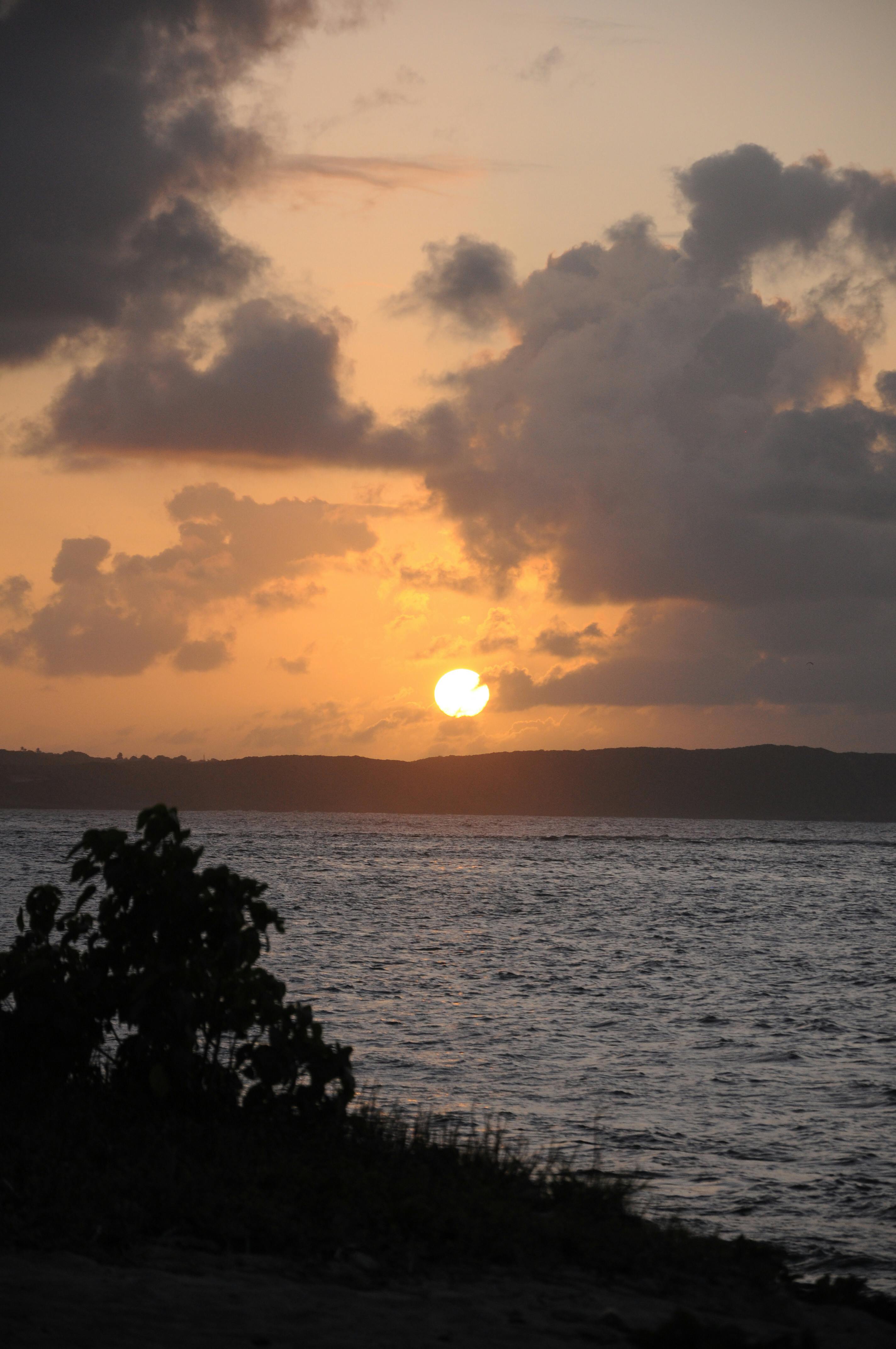 Coucher de soleil tropical avec silhouettes de palmiers en Guadeloupe