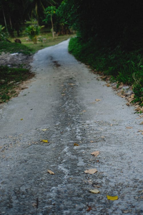 Road in Summer