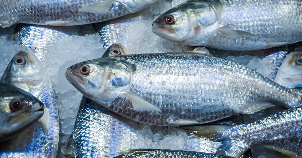 How many dollars is 1000 Mexican pesos