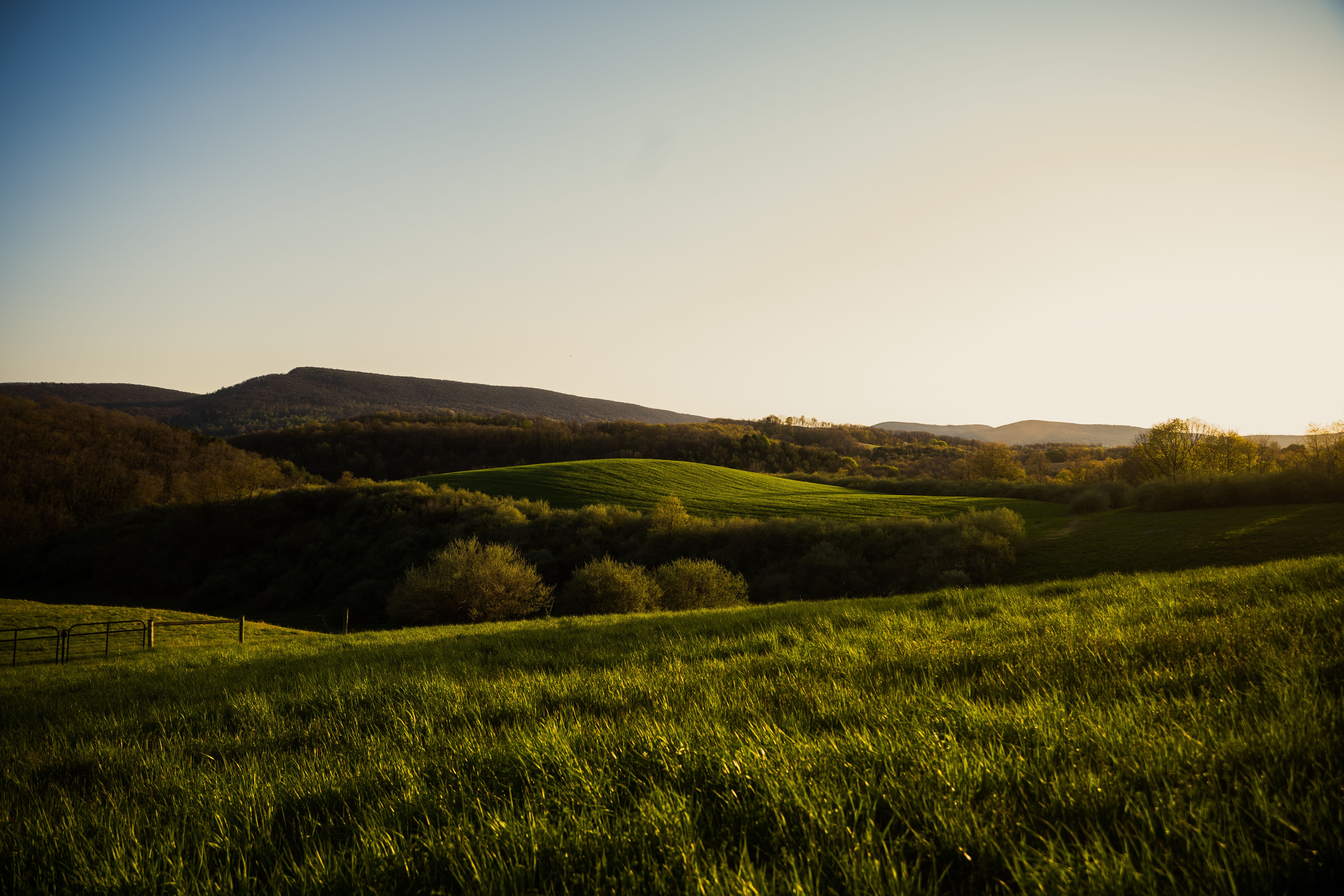 Serene view of rolling green hills under a clear sky during sunset in Pennsylvania.