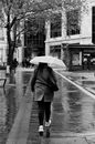 Downpour Images