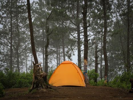 camping ground