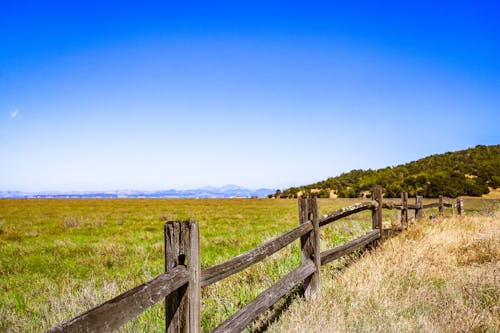 ahşap çit, alan, arazi içeren Ücretsiz stok fotoğraf