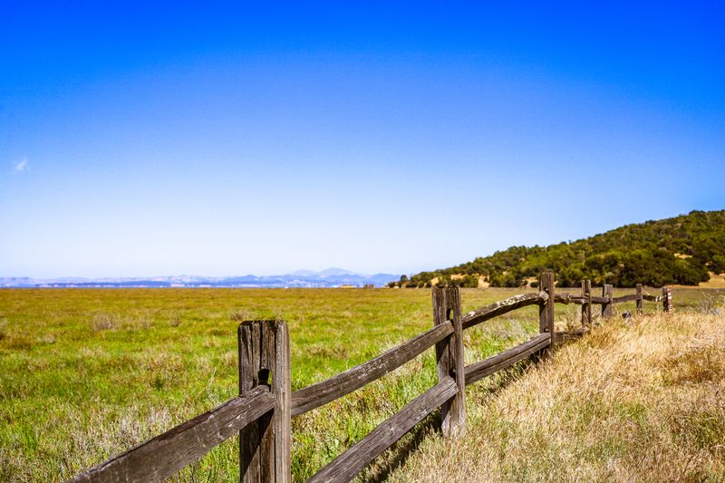 Brush removal along a rural property fence line