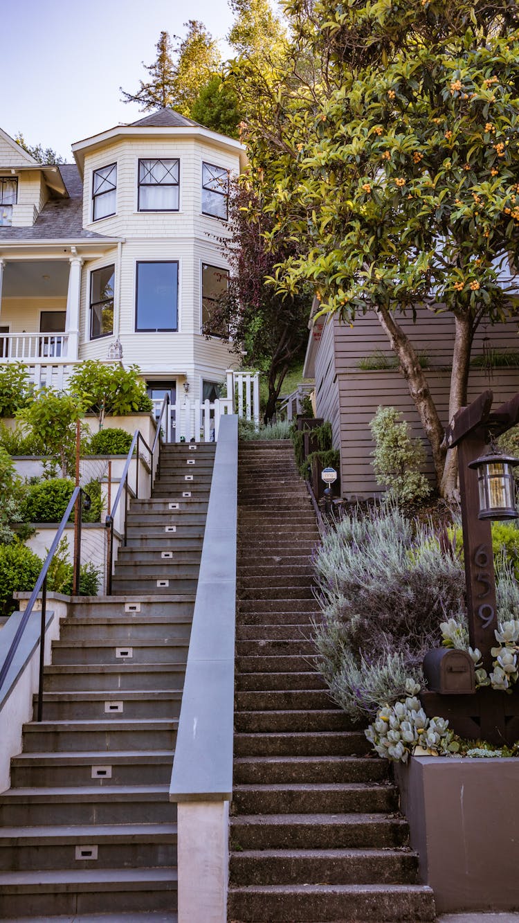 Steps Leading To Mansion