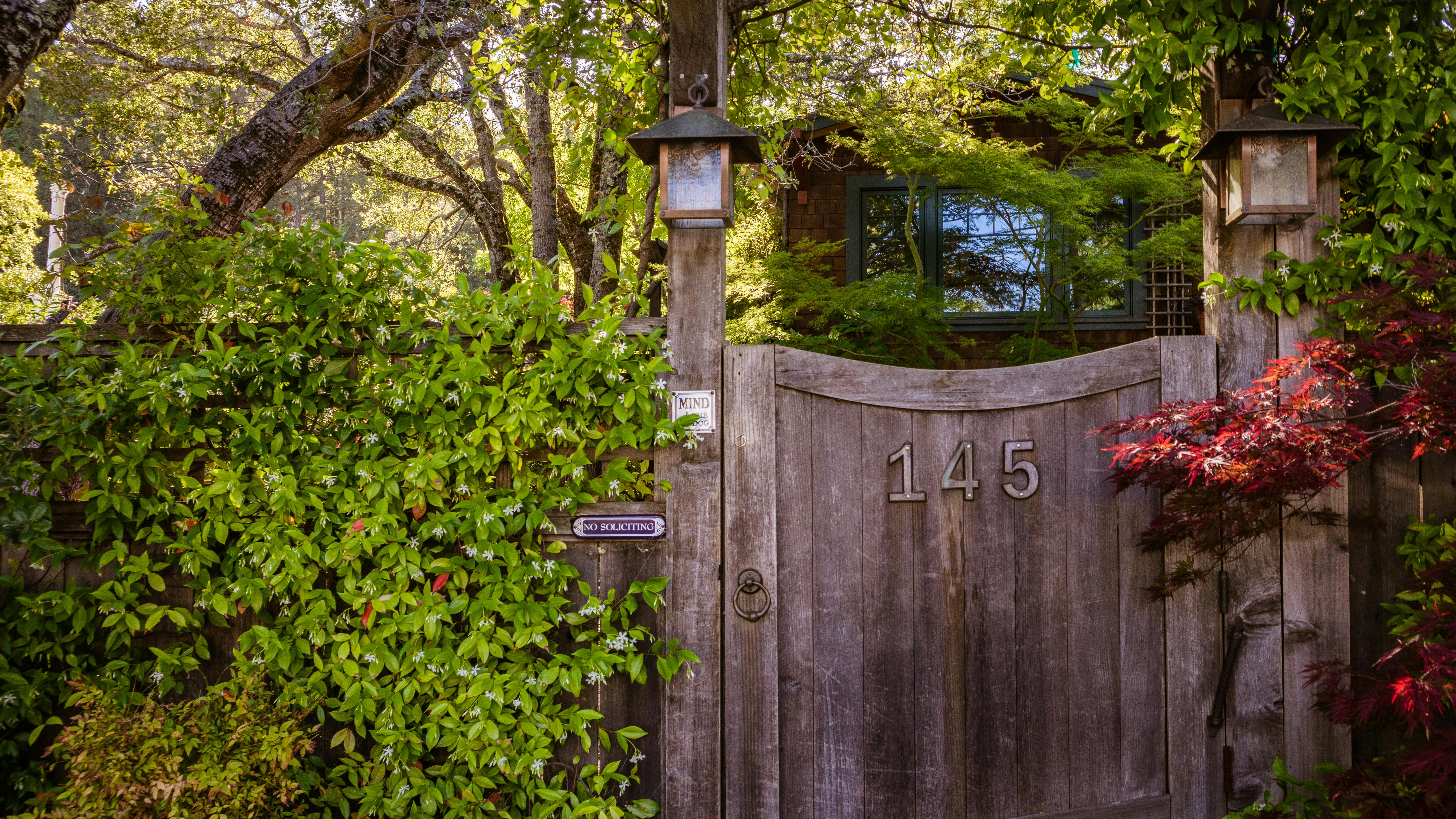 Rustic wooden gate with house number 145 nestled among vibrant foliage.