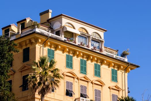 Luxurious yellow building with green shutters and palm tree under a clear blue sky.
