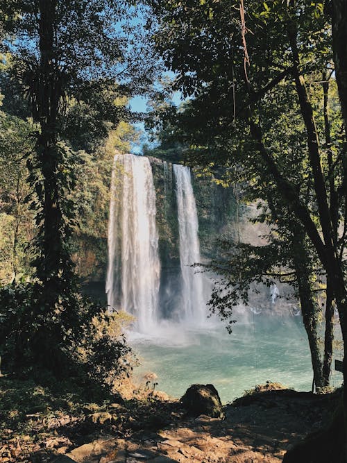 Imagine de stoc gratuită din cascade, codru, curge