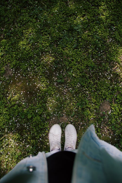Person in White Shoes Standing on Green Grass