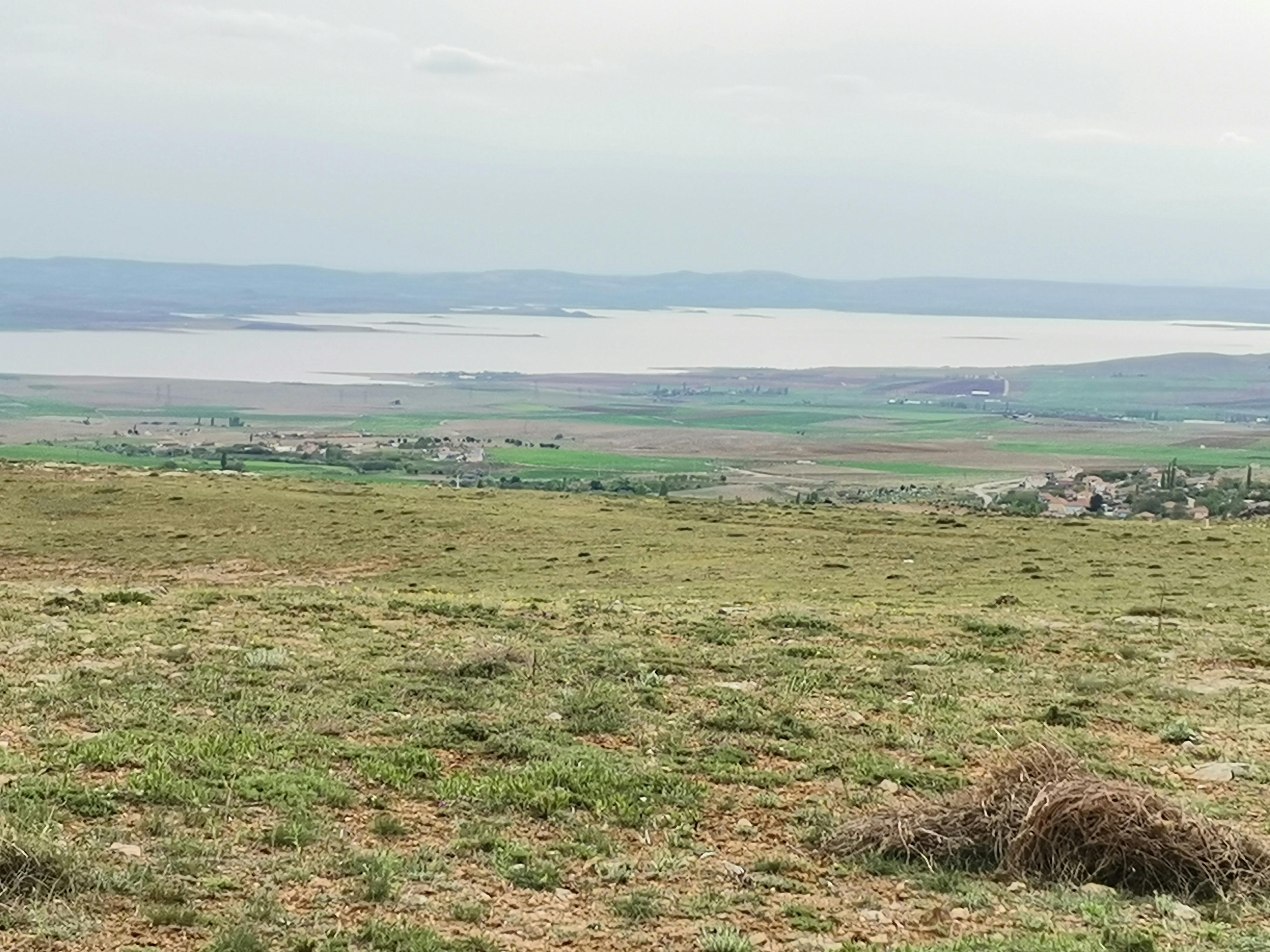 밤을 밝히는 서바이벌 게임의 상징적 이미지