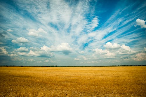 Foto Van Grasveld