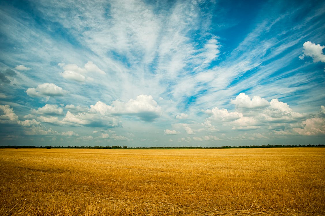 คลังภาพถ่ายฟรี ของ skyscape, กลางวัน, การเกษตร
