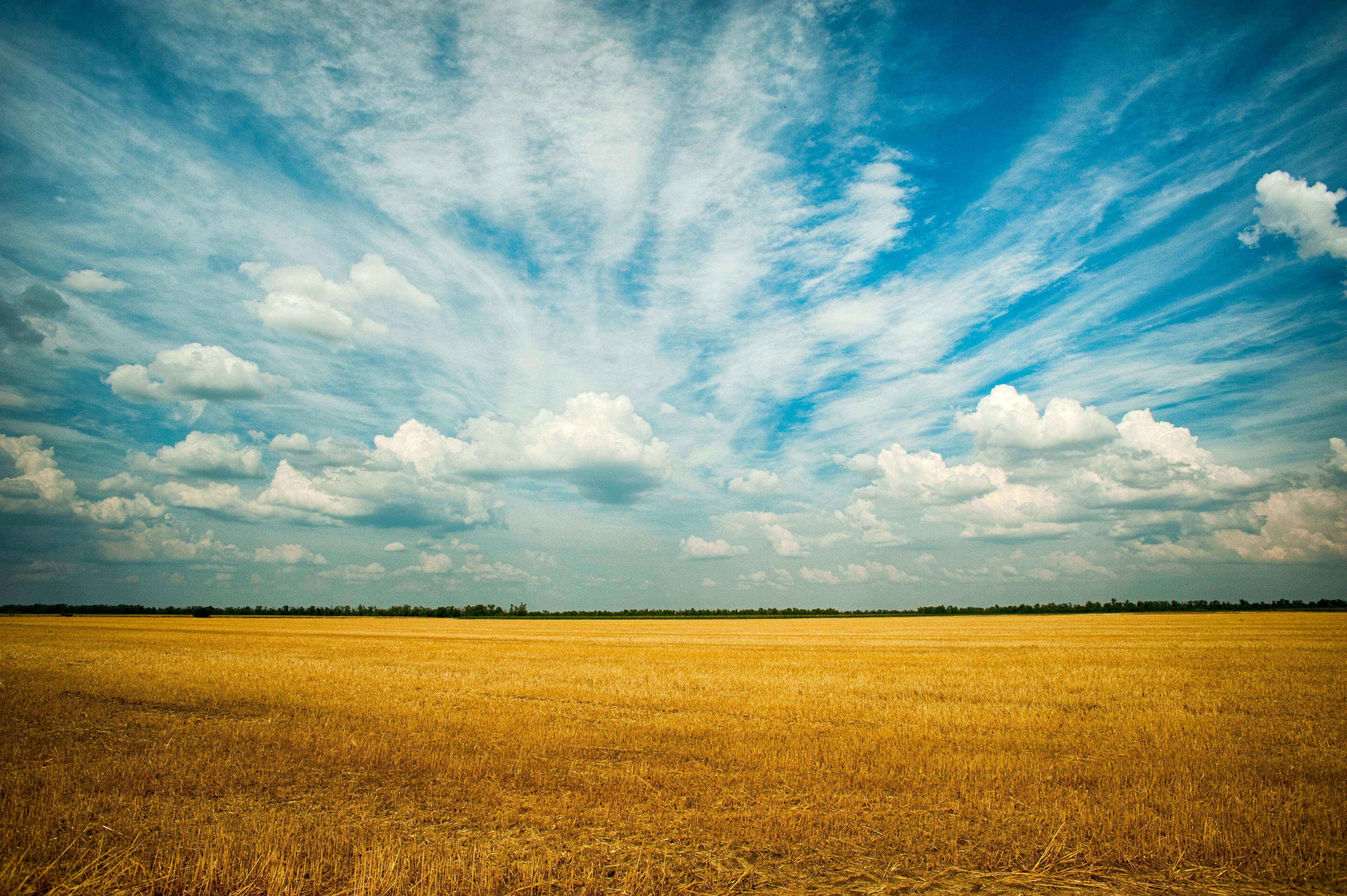 Foto de stock gratuita sobre agricultura, campo, campos de cultivo