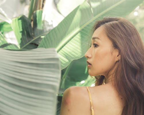 Free Asian girl behind the leaves Stock Photo
