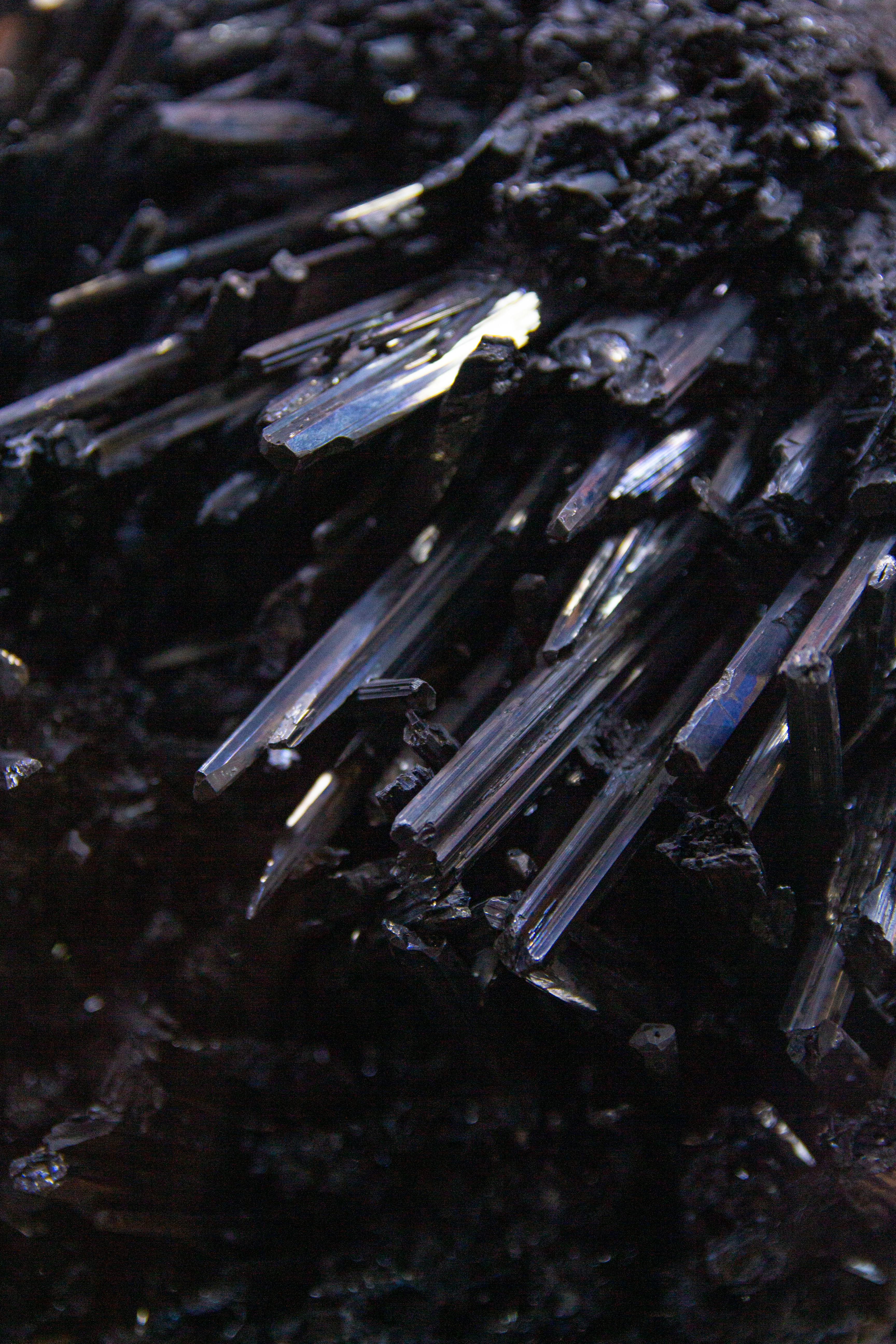 Why Early Life Picked Scarce Molybdenum 3.5B Years Ago