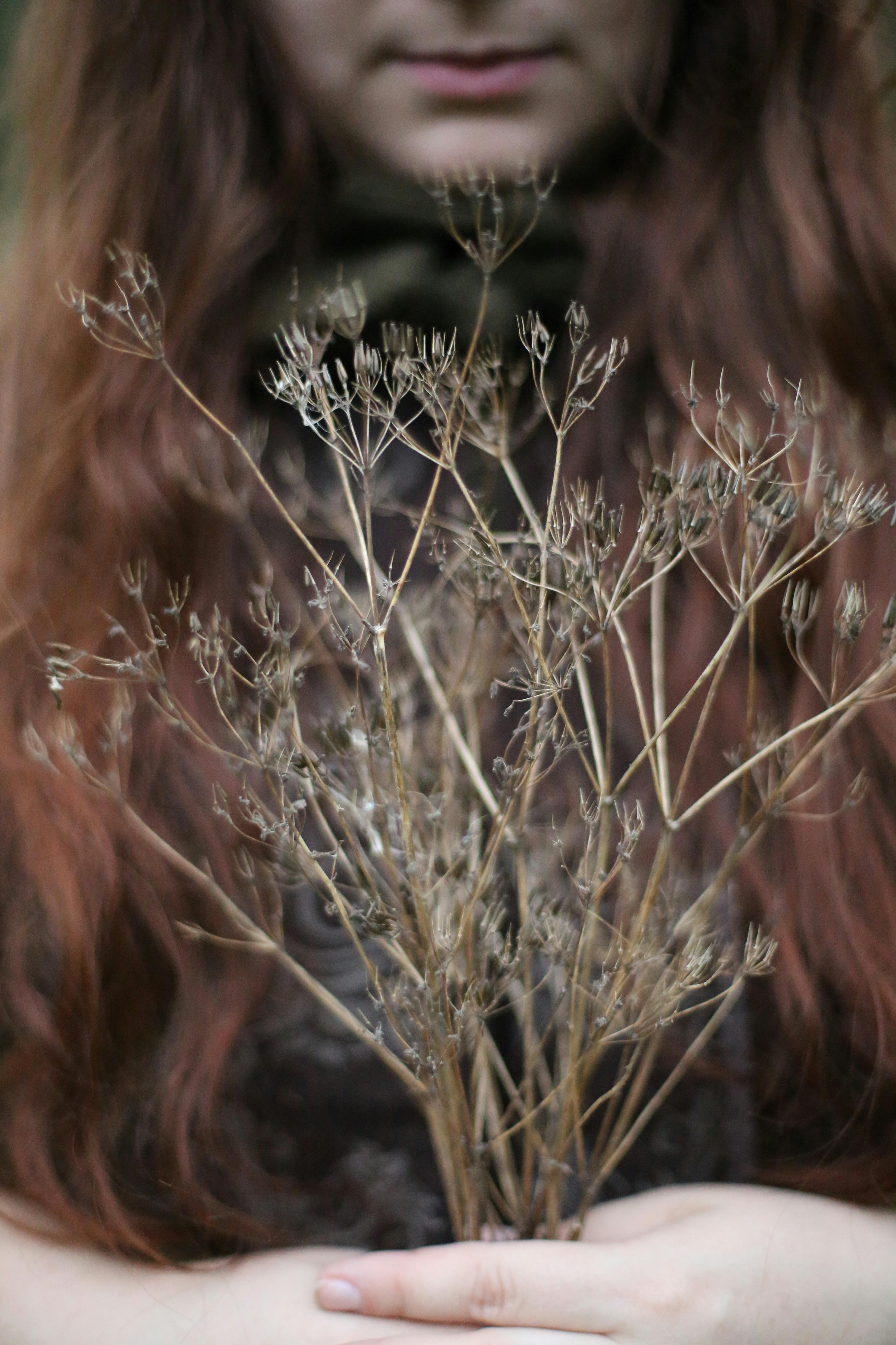 Close Up View of Person Holding Cumin Plant and Seeds · Free Stock Photo