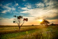 日落时分，乌克兰乡村的壮丽景色捕捉了鲜艳的色彩与自然的宁静