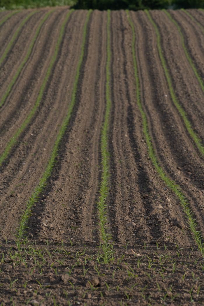 Agriculture & Farming