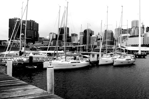 Free stock photo of day, dock, harbor
