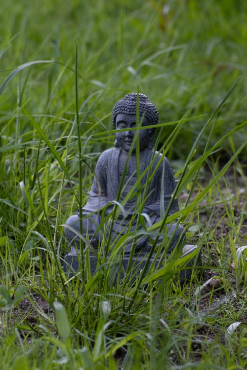Photograph of a Buddha Sculpture on the Grass
