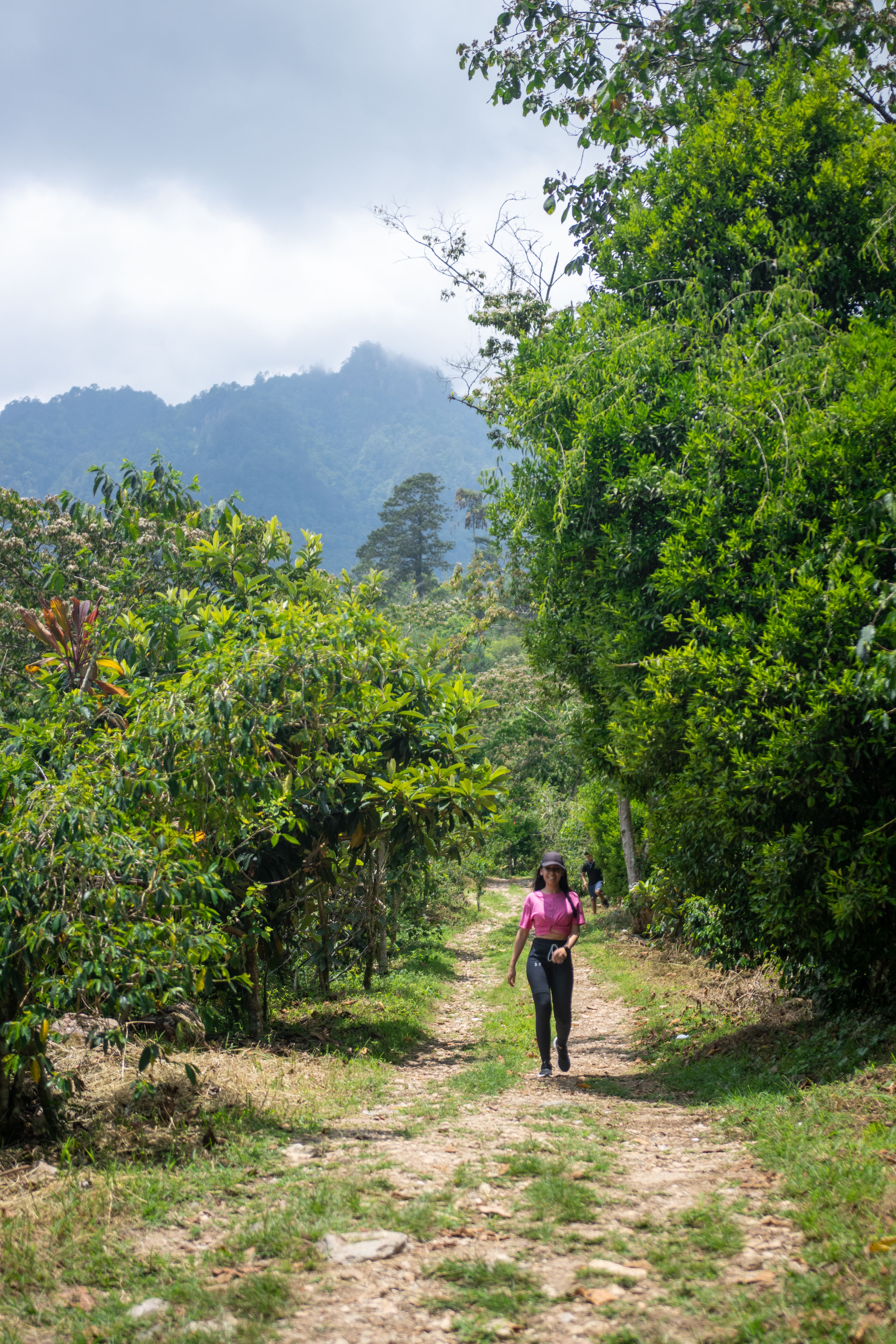 Woman Walking on Dirt Road Between Green Trees · Free Stock Photo