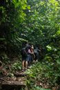 People Hiking the Mountain Forest