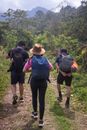 Hikers Walking on Forest Trail