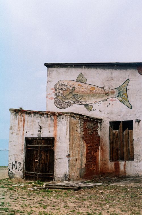 Free An artistic fish mural adorns the side of a weathered and abandoned building, showcasing urban decay and creativity. Stock Photo