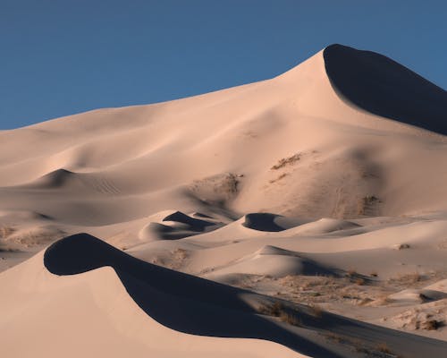 Landscape with Dunes