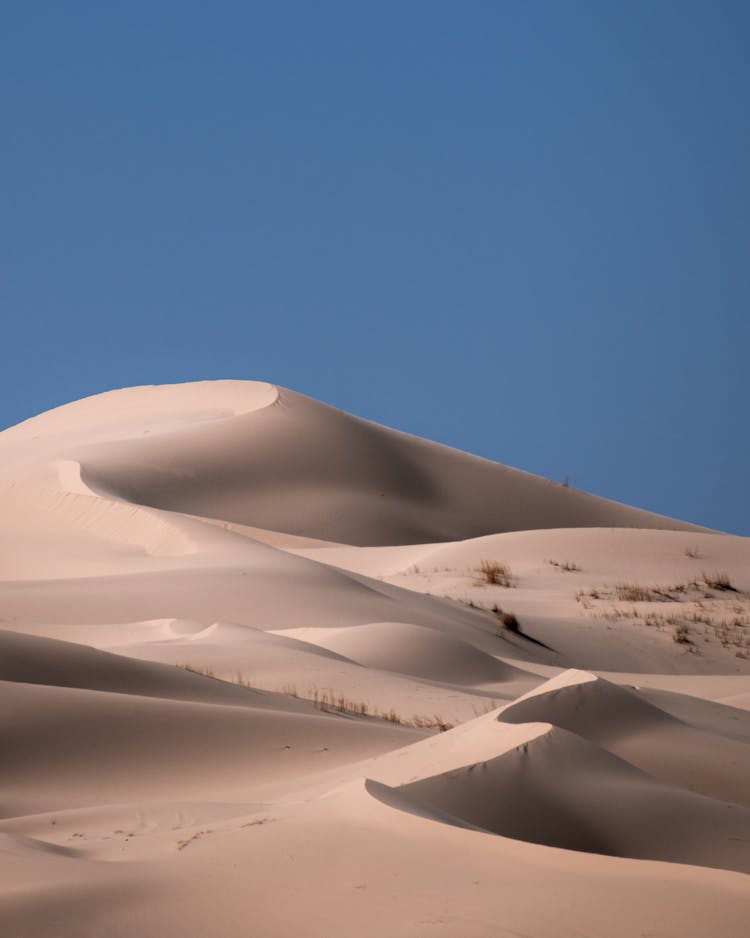 Landscape With Dunes