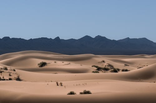 Landscape with Dunes and Rocky Mountains in Background