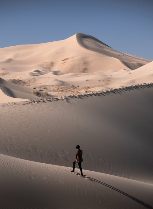 Free Man Walking in a Desert Landscape with Dunes Stock Photo