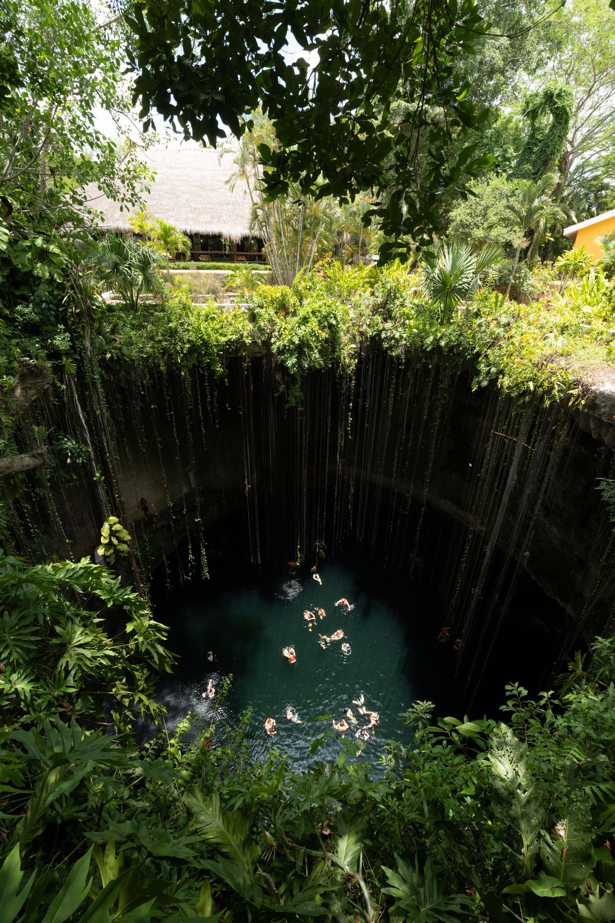 Swimmers enjoying a tranquil jungle cenote surrounded by lush greenery from an aerial perspective.