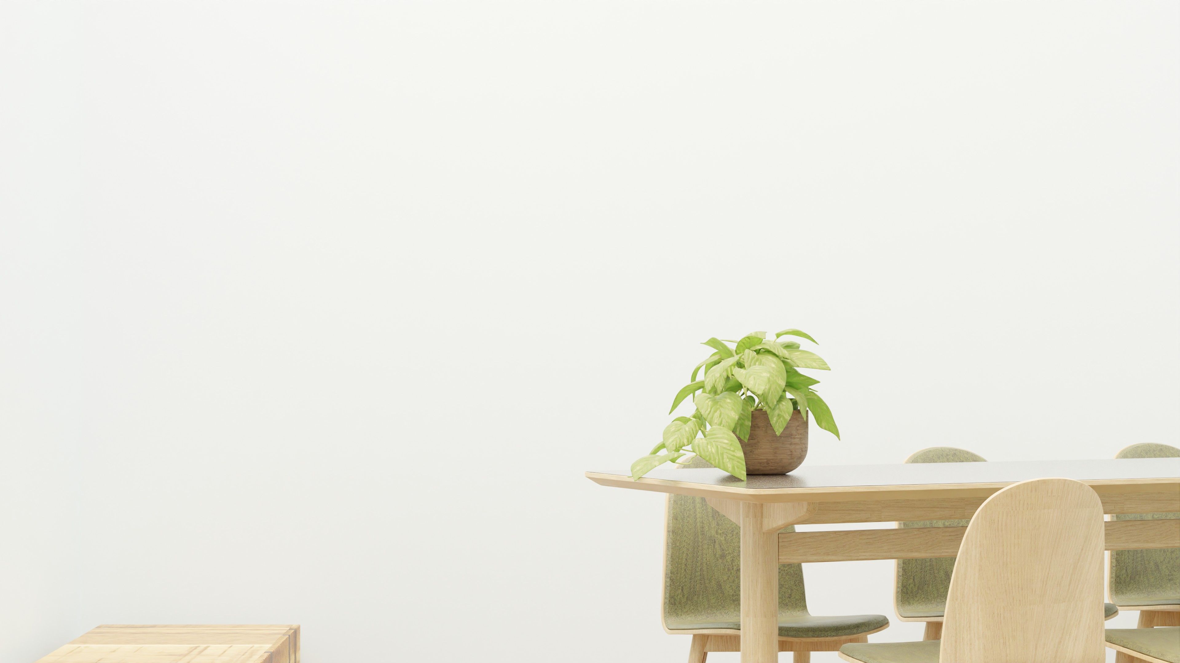 Spacious and modern dining room with wooden furniture and indoor plant.