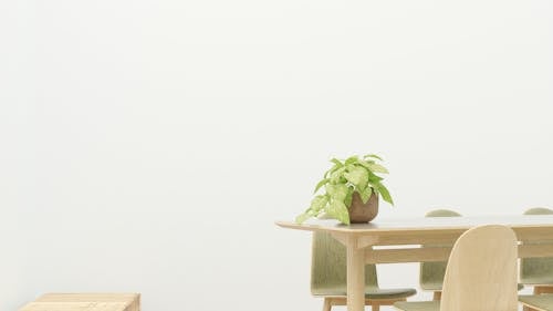 Copyspace, 室內植物, 室內設計 的 免費圖庫相片