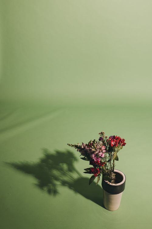 Free A colorful arrangement of flowers in a pot with shadow, against a green background. Stock Photo