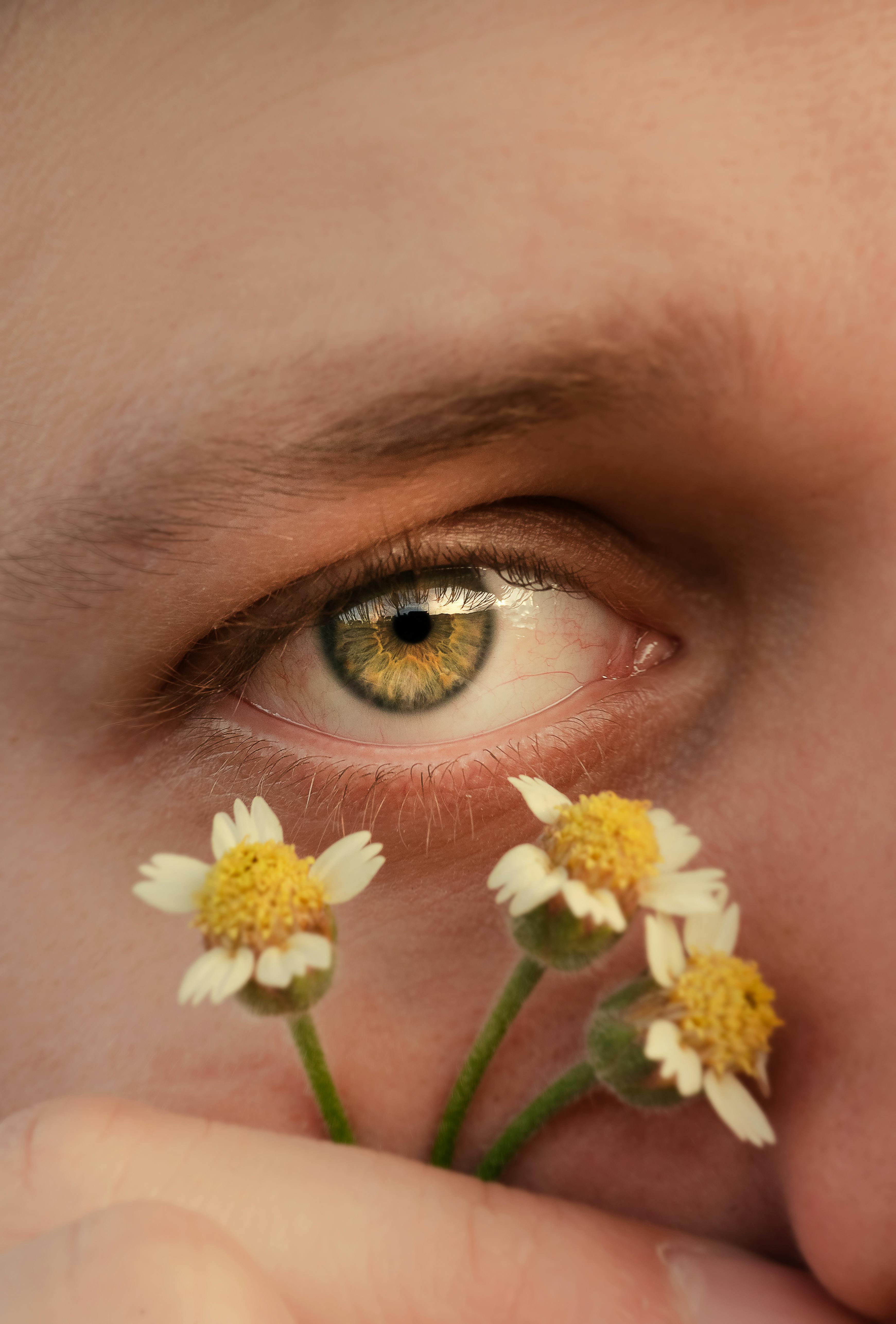 A close-up artistic shot of a human eye adorned with Tridax Procumbens flowers, blending nature and humanity.